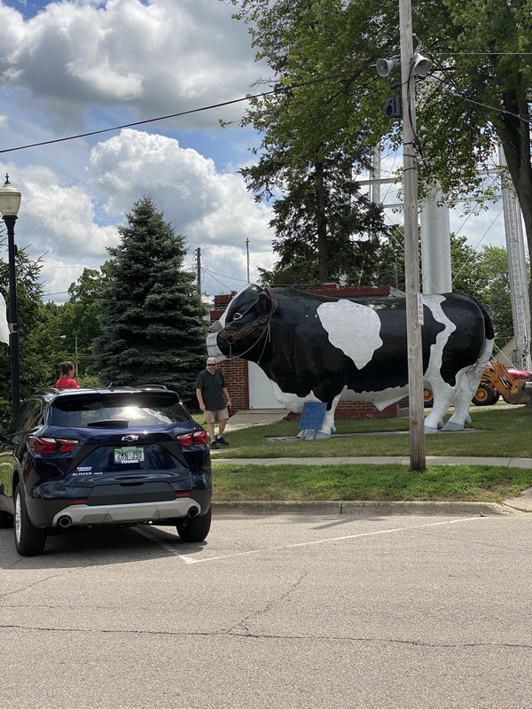 Elsie - July 12 2020 (newer photo)